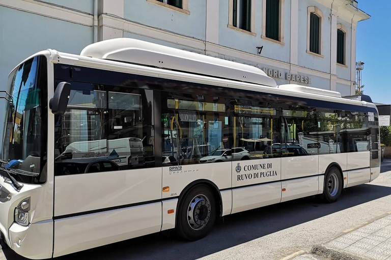 Servizi di trasporto e mobilita urbana