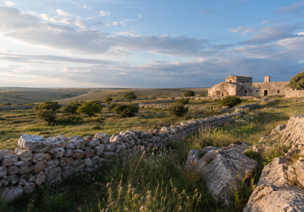 Paesaggio rurale nel territorio di Ruvo di Puglia